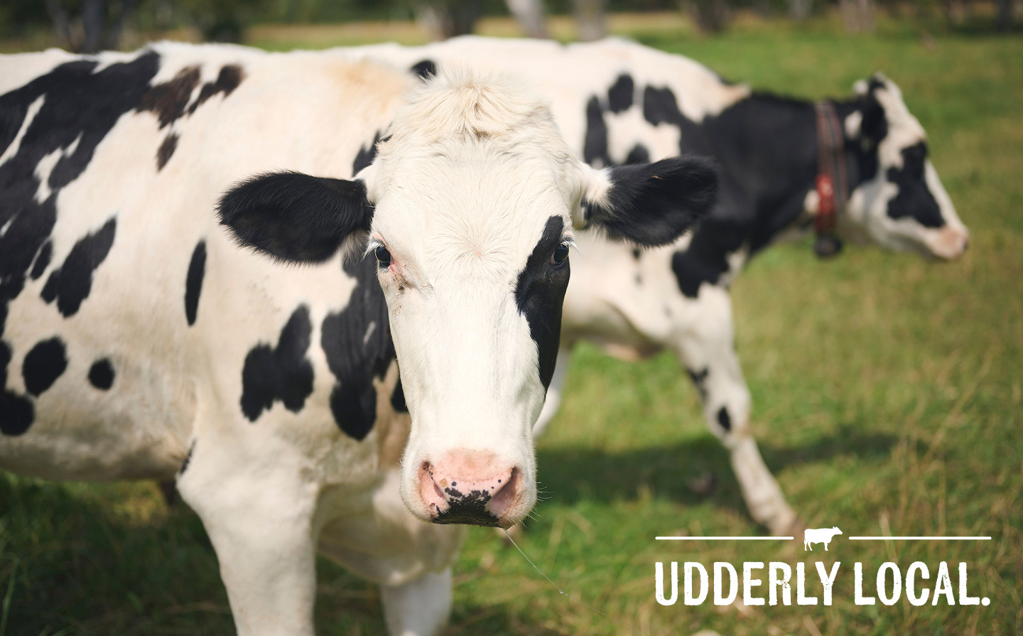 UDDERLY LOCAL